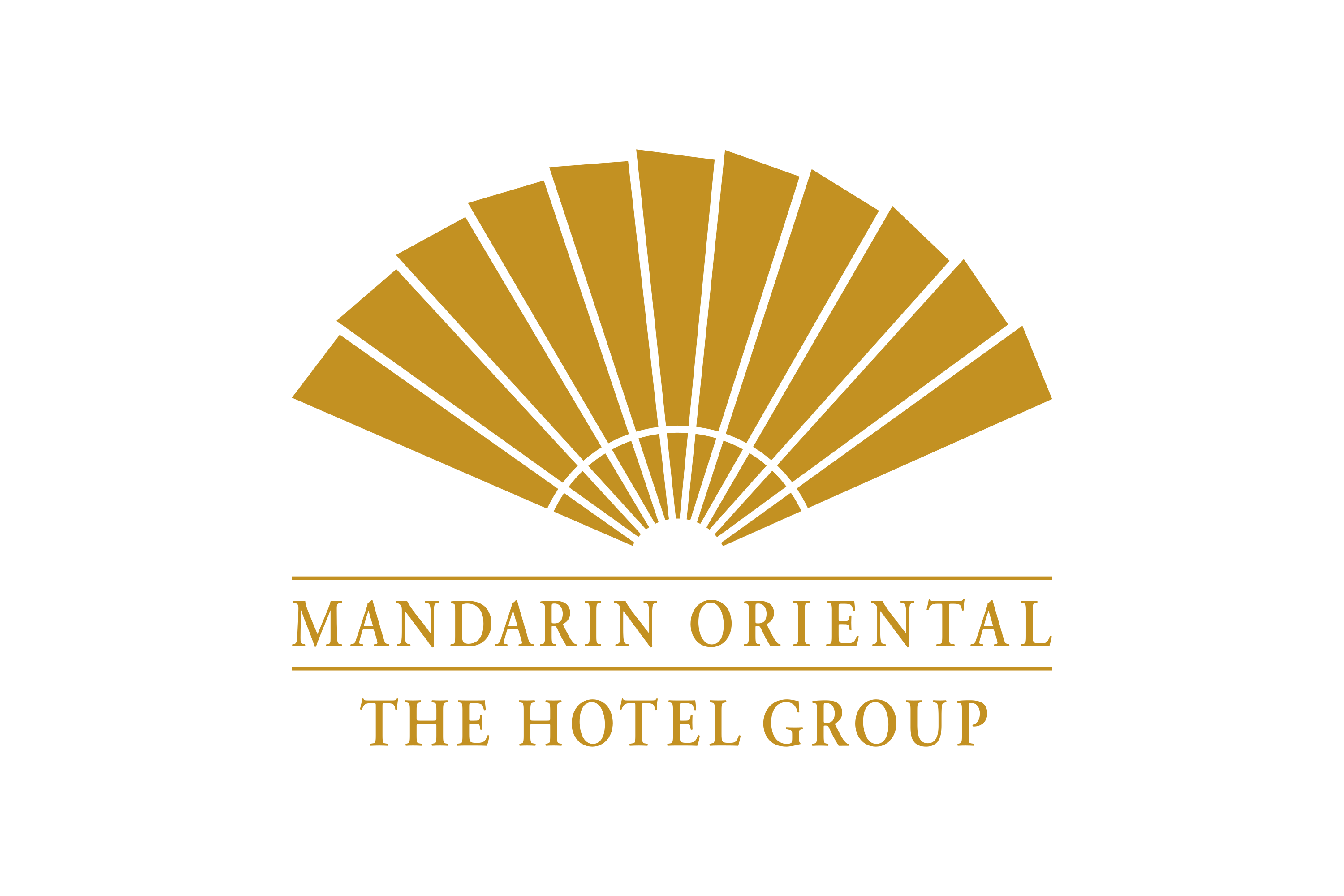 Mandarin oriental - the hotel group