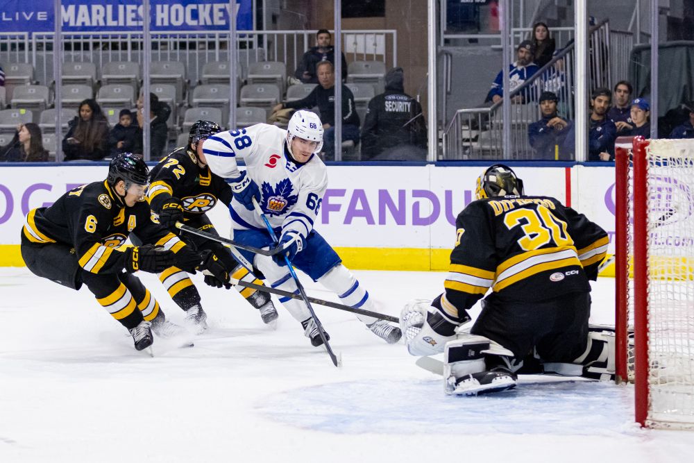 Marlies Fall 5-1 To Bruins