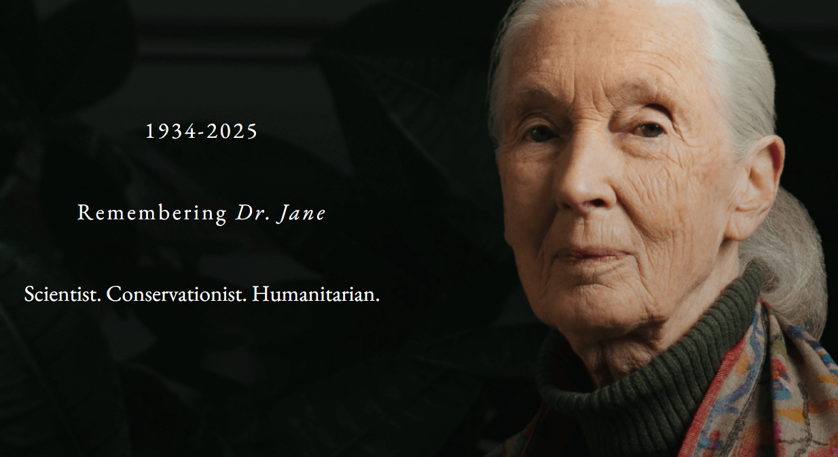 Remembering Dame Jane Goodall (1934–2025)