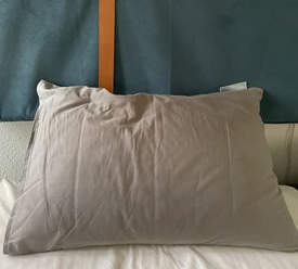 nuzzle, canada, pillow, sleep