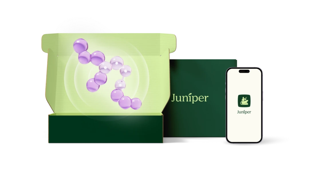 お腹がすいていないのに食べたい時 - 「痩せホルモン」GLP-1とは?