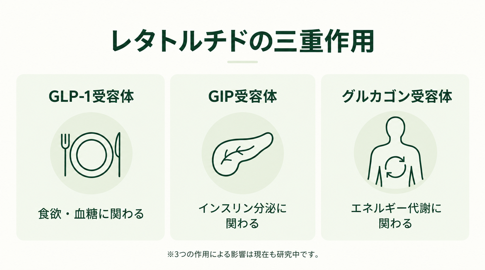 レタトルチドの三重作用を示す図。GLP-1受容体は食欲・血糖、GIP受容体はインスリン分泌、グルカゴン受容体はエネルギー代謝に関わる。3つの作用による影響は現在も研究中。