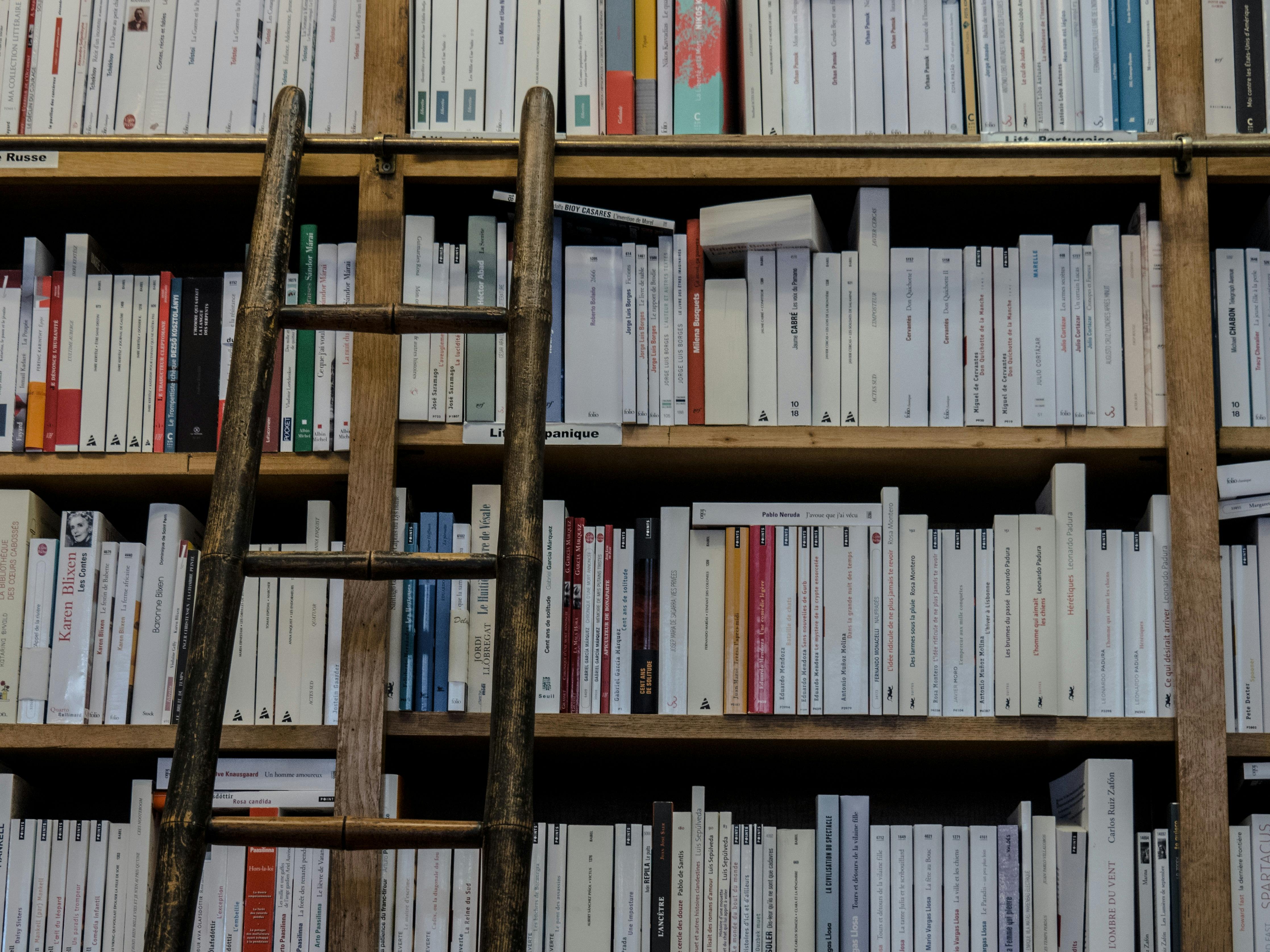 El status del Libro: Digitalización, nuevas prácticas y la convergencia tecnológica