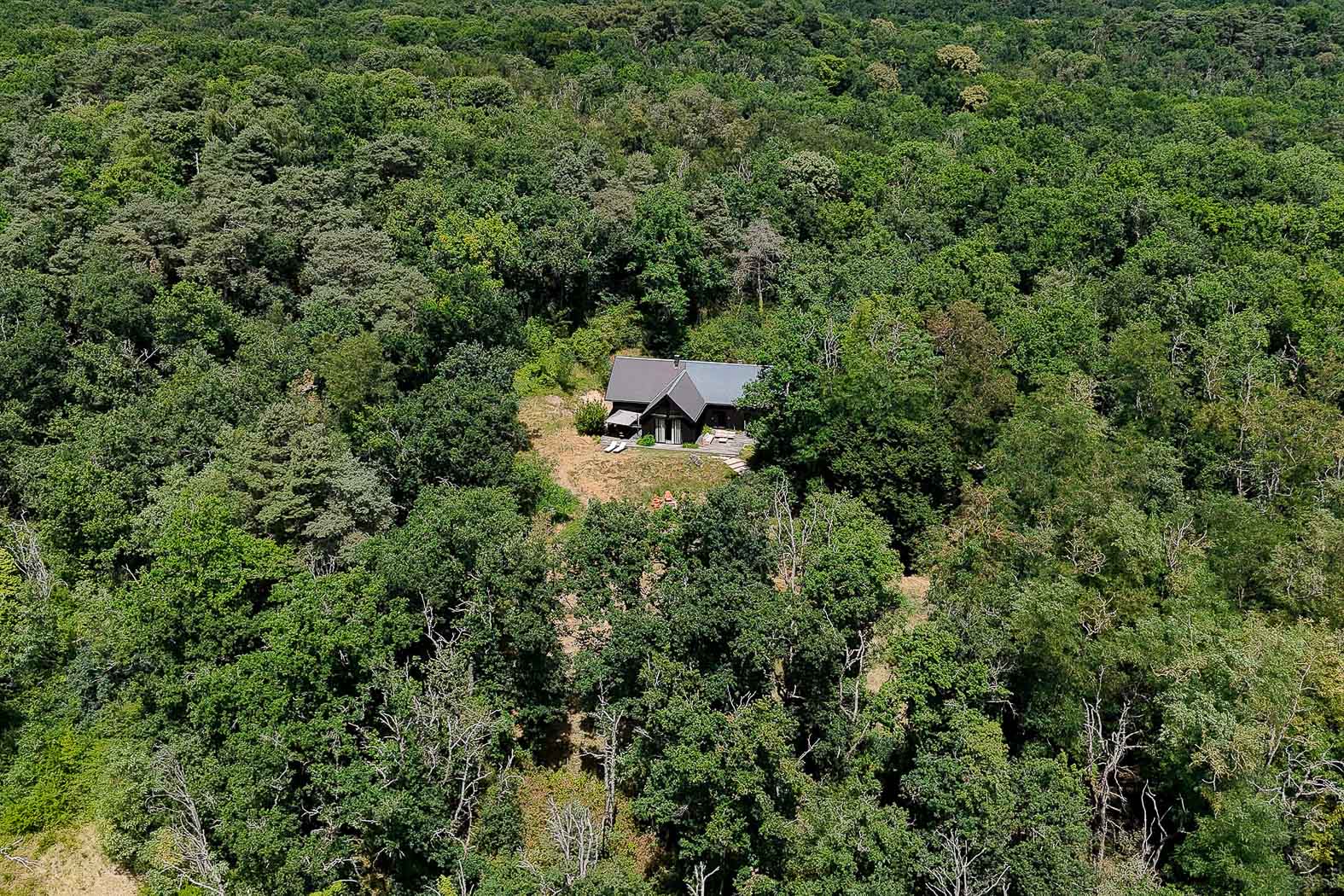 Maison contemporaine en plein coeur de la forêt de Fontainebleau
