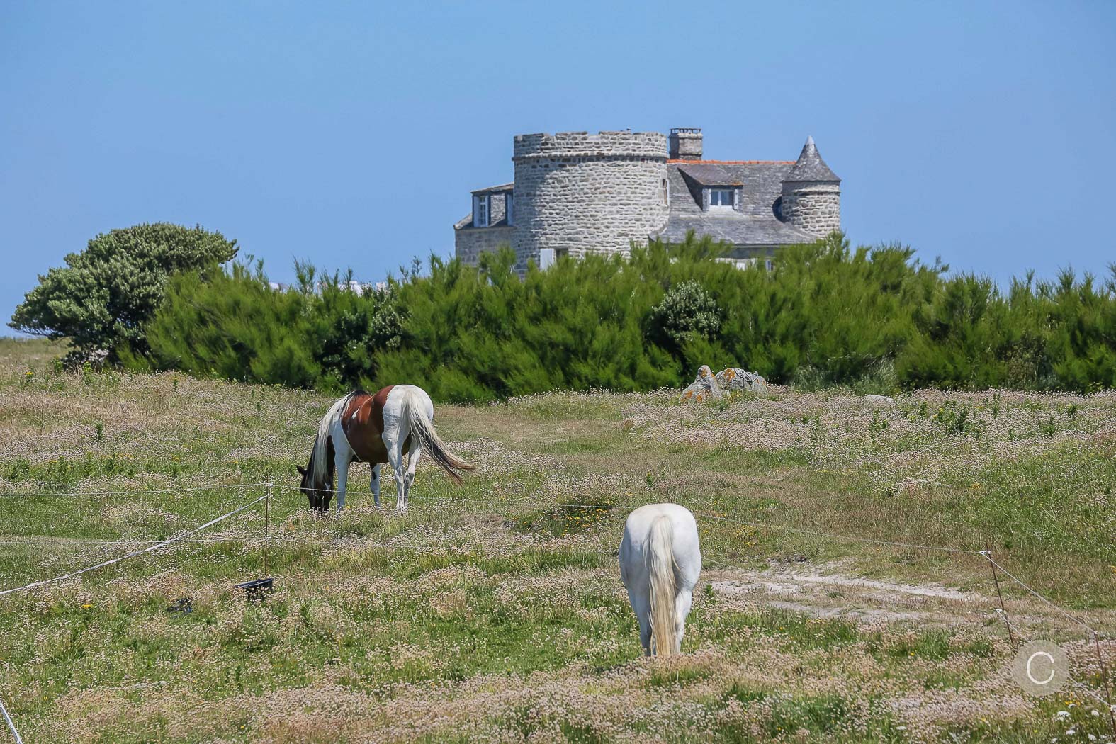 26-location-propriete-ile-batz-casalino.jpg