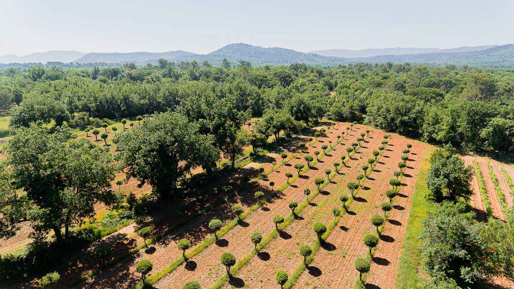 02-location-domaine-luxe-var-casalino.jpg