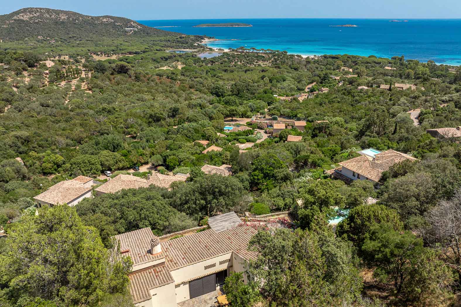 40-location-villa-piscine-palombaggia-casalino.jpg