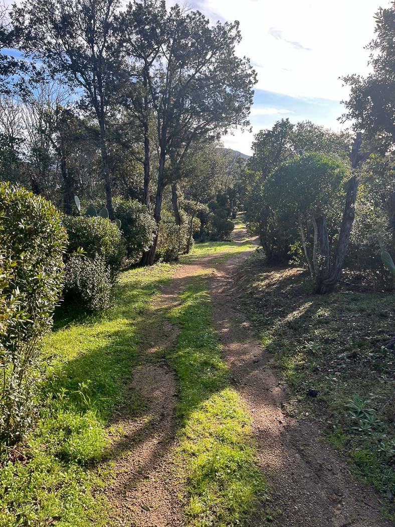 39-location-villa-figari-casalino.jpg