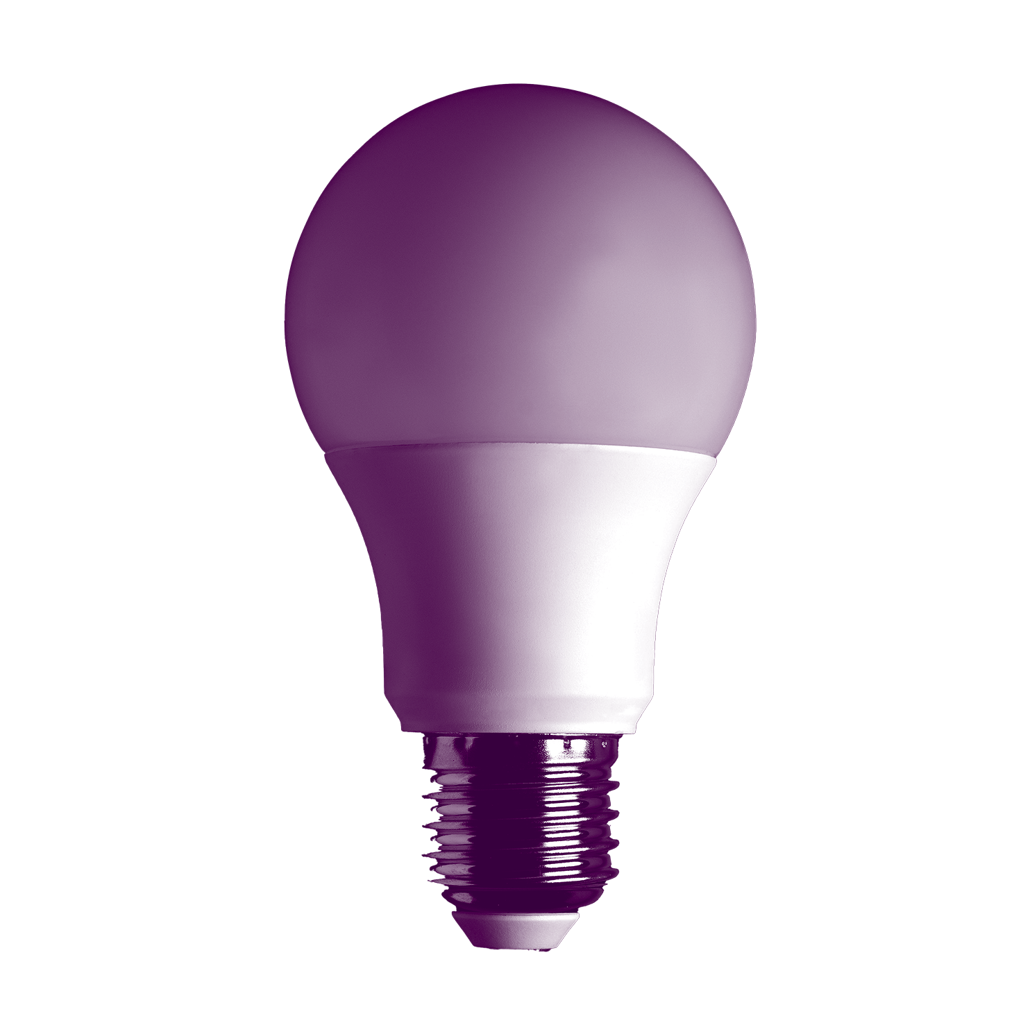light bulb