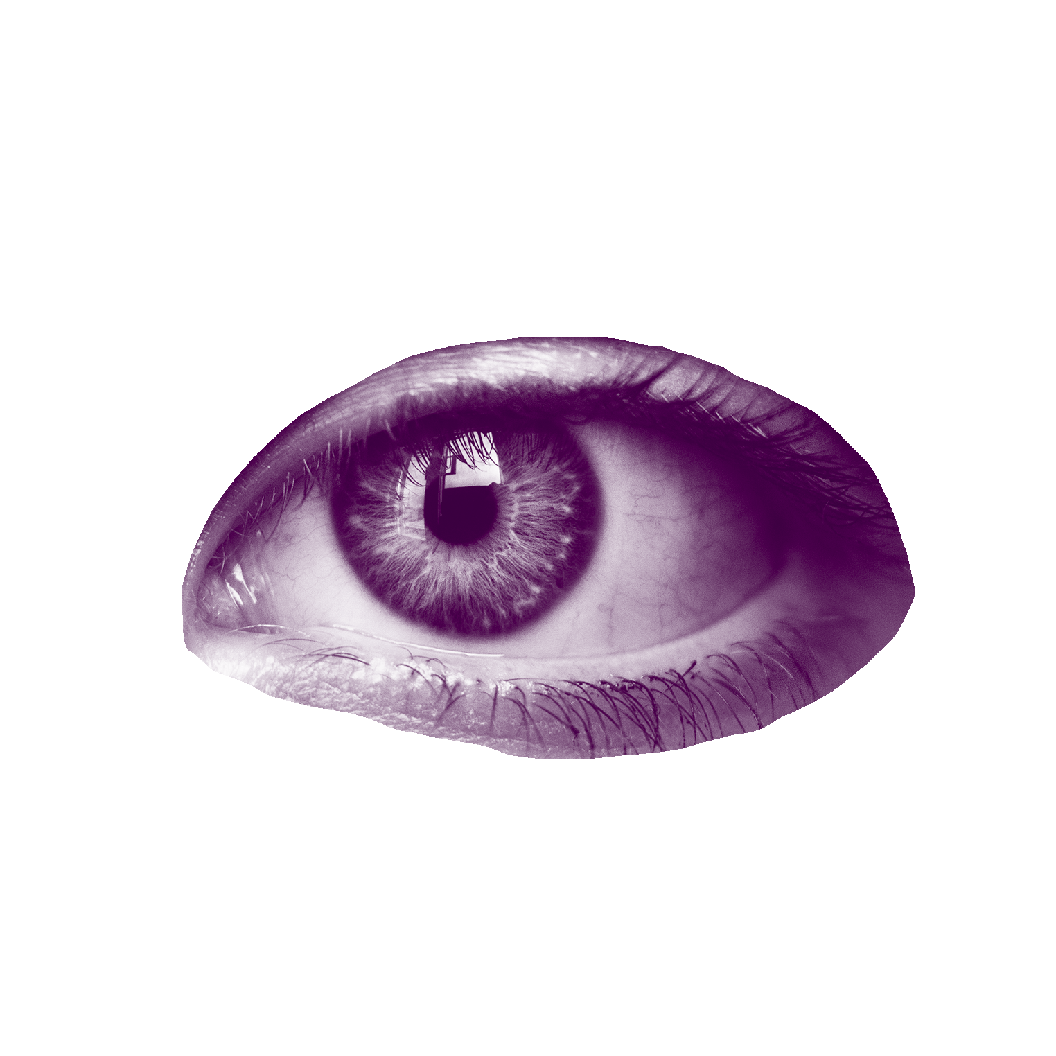 eye