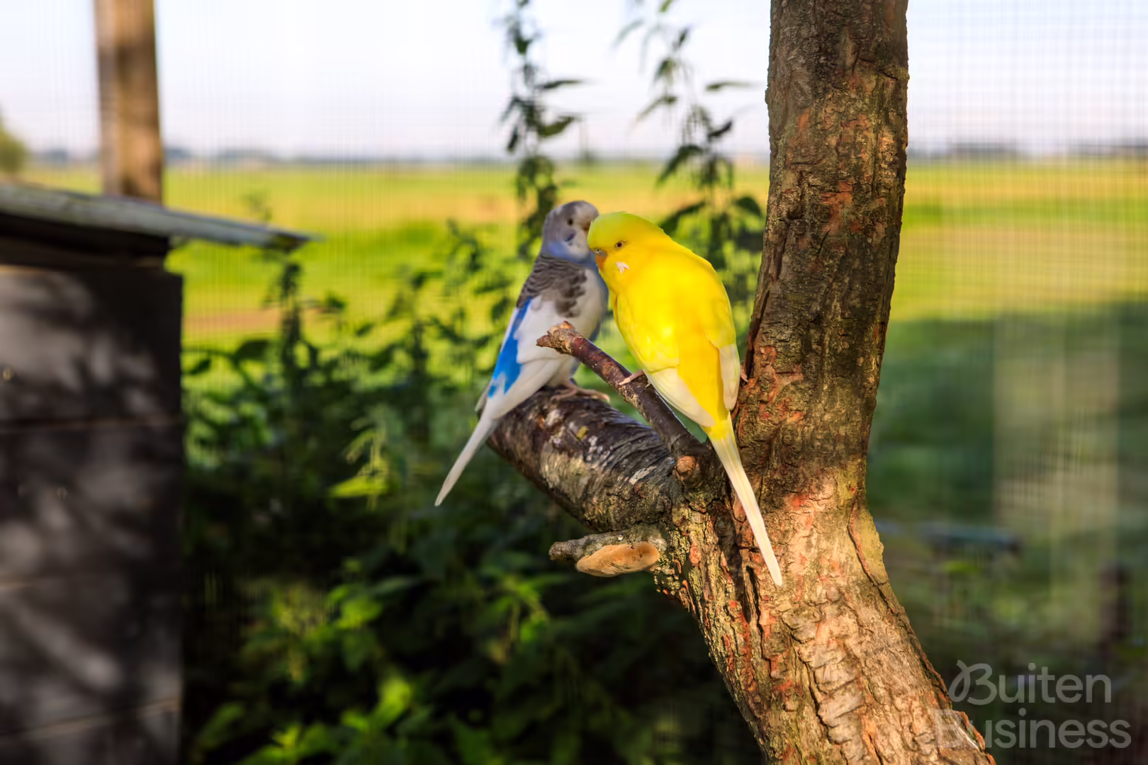 Vergaderen bij Het Groene Wout in Zuid-Holland via BuitenBusiness