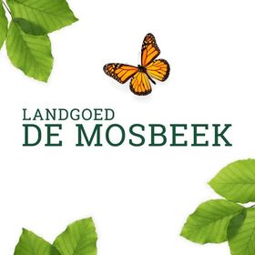 Neem contact op met De Schure via BuitenBusiness
