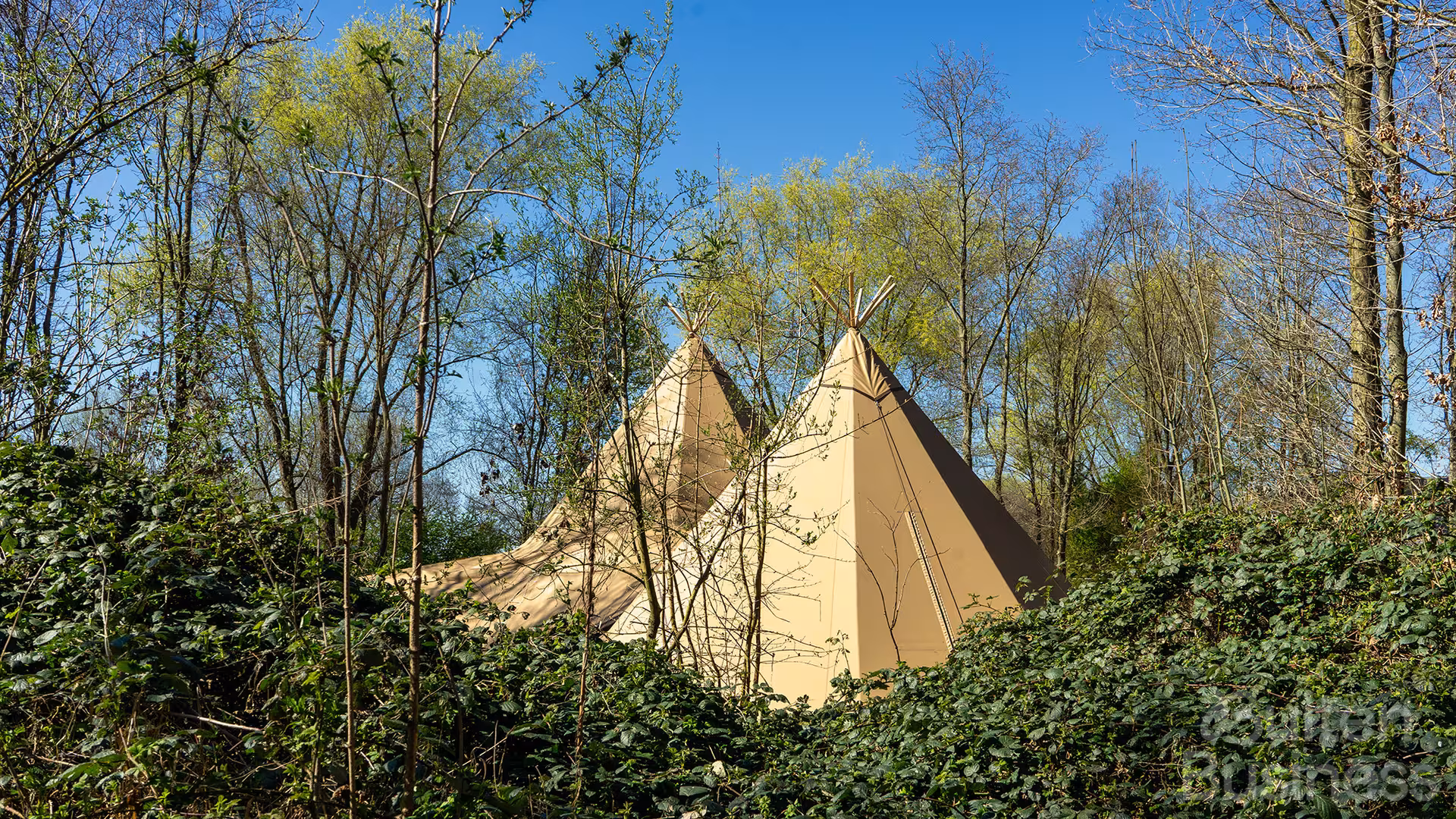 Vergaderen bij House of Bird Diemerbos in Noord-Holland via BuitenBusiness