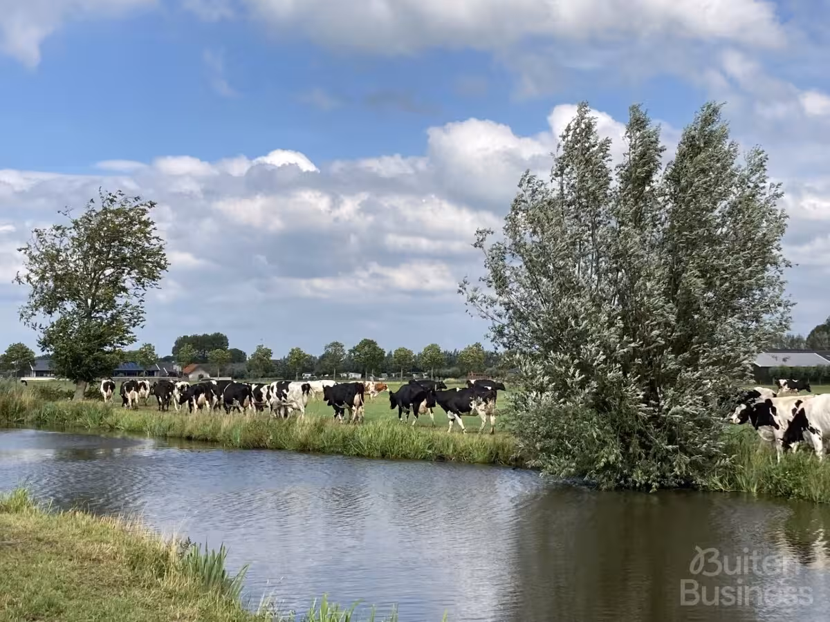 Vergaderen bij Vergaderwei in Utrecht via BuitenBusiness