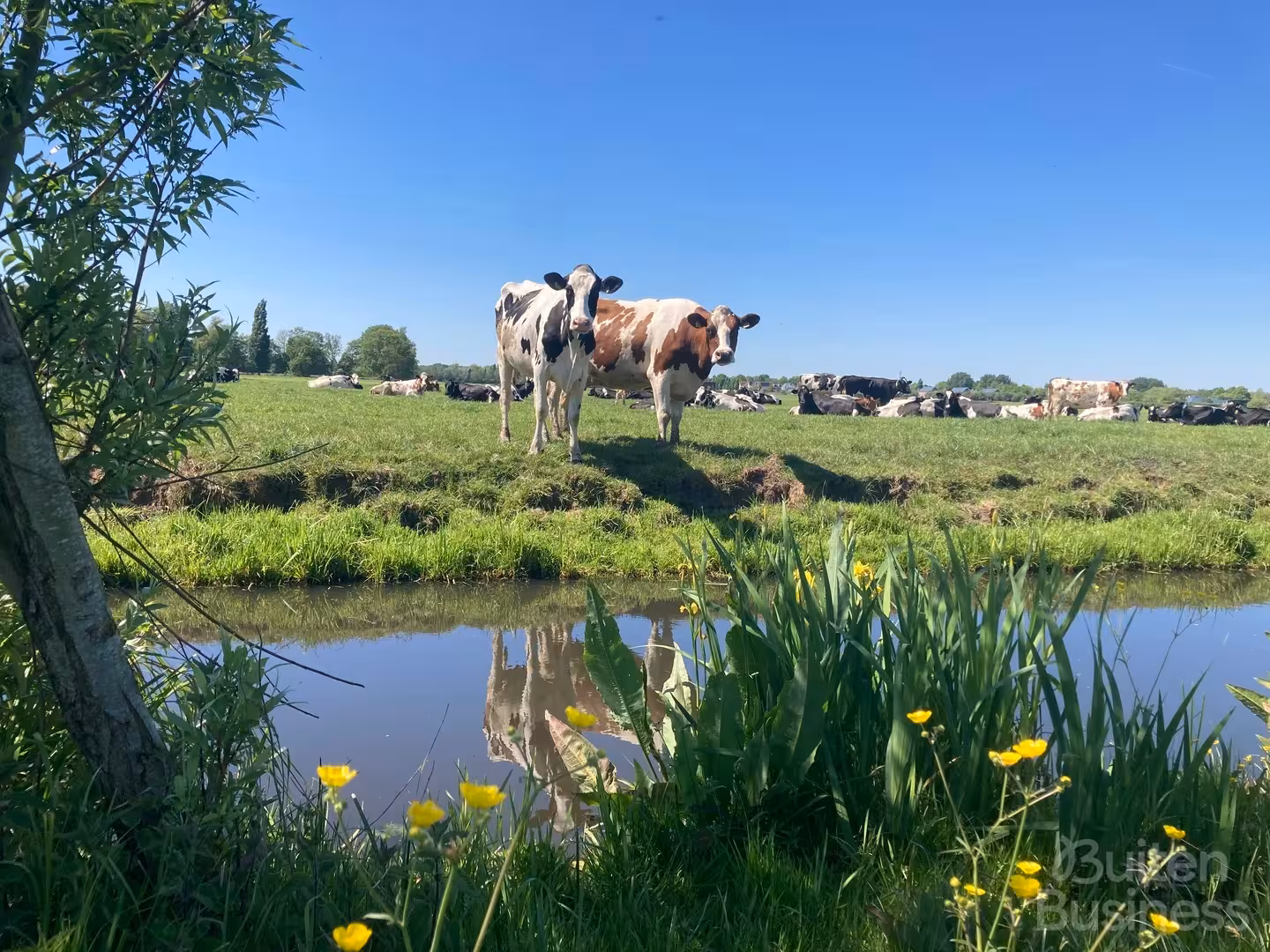 Vergaderen bij Vergaderwei in Utrecht via BuitenBusiness