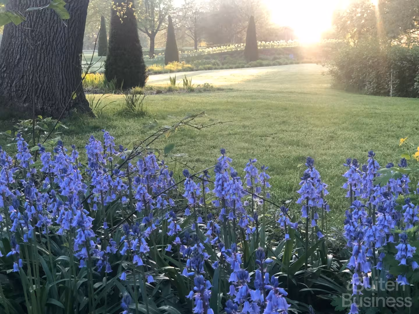 Vergaderen bij Rosenhaege in Gelderland via BuitenBusiness