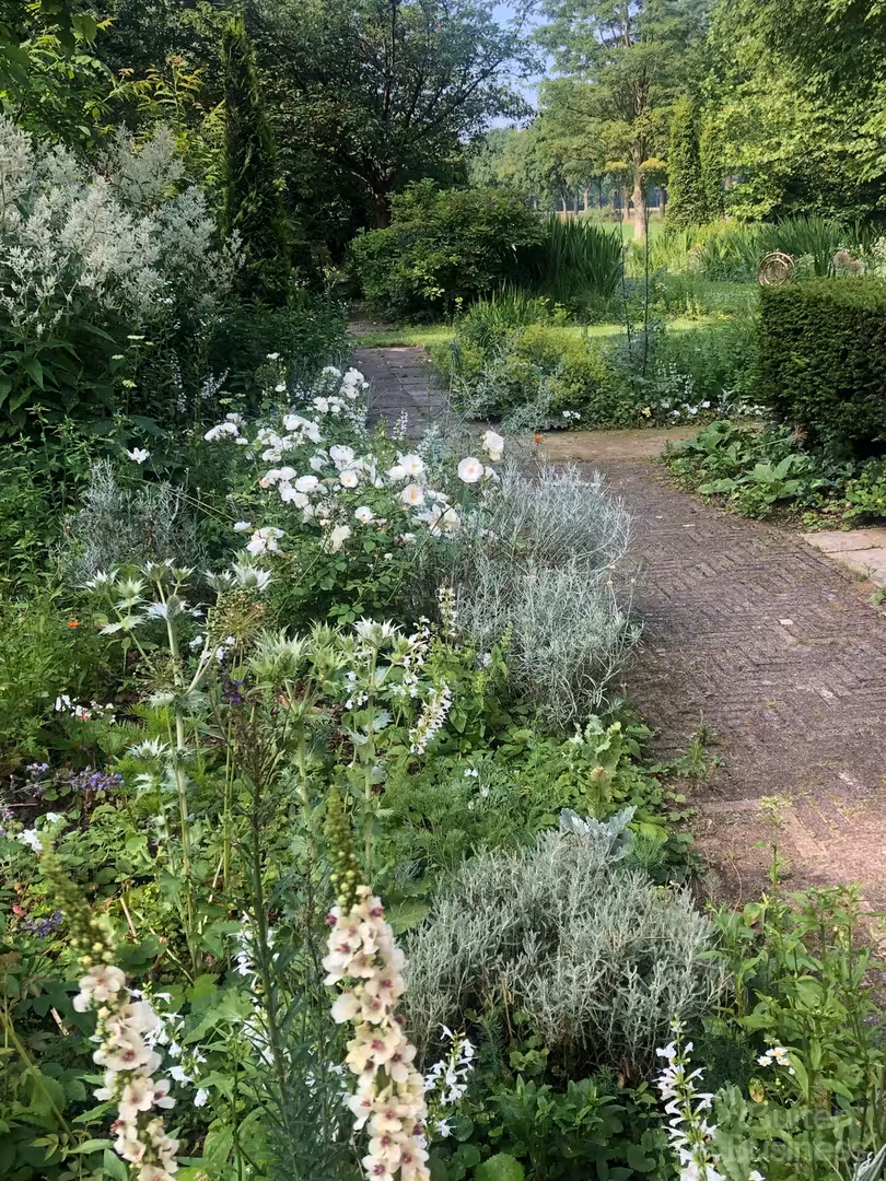 Vergaderen bij Rosenhaege in Gelderland via BuitenBusiness