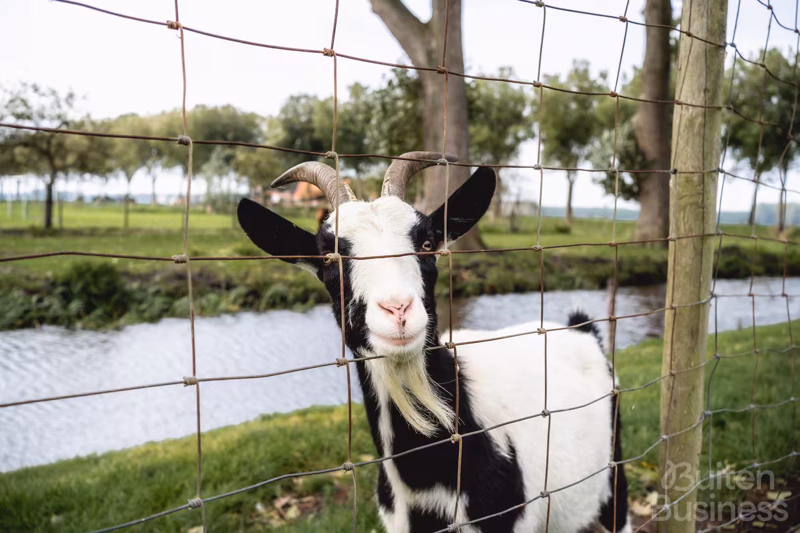 Vergaderen bij Leeuwendaal in Noord-Holland via BuitenBusiness