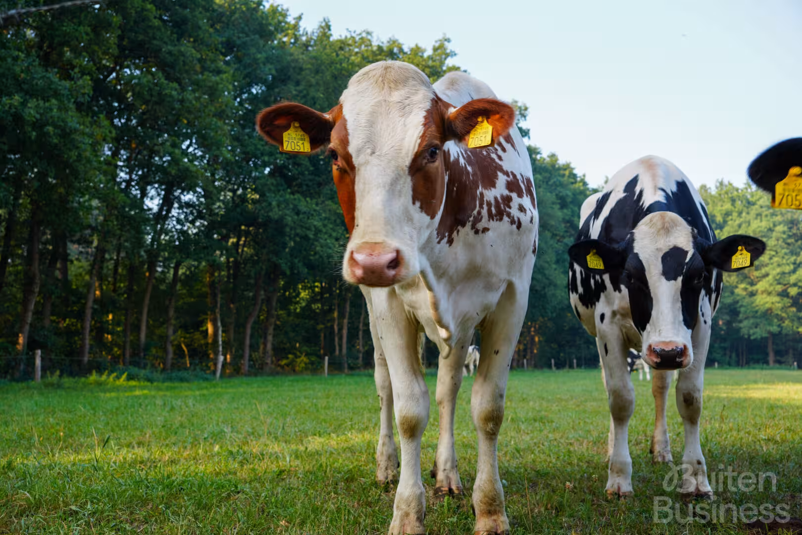 Vergaderen bij Ruimte voor Inzicht in Noord-Brabant via BuitenBusiness