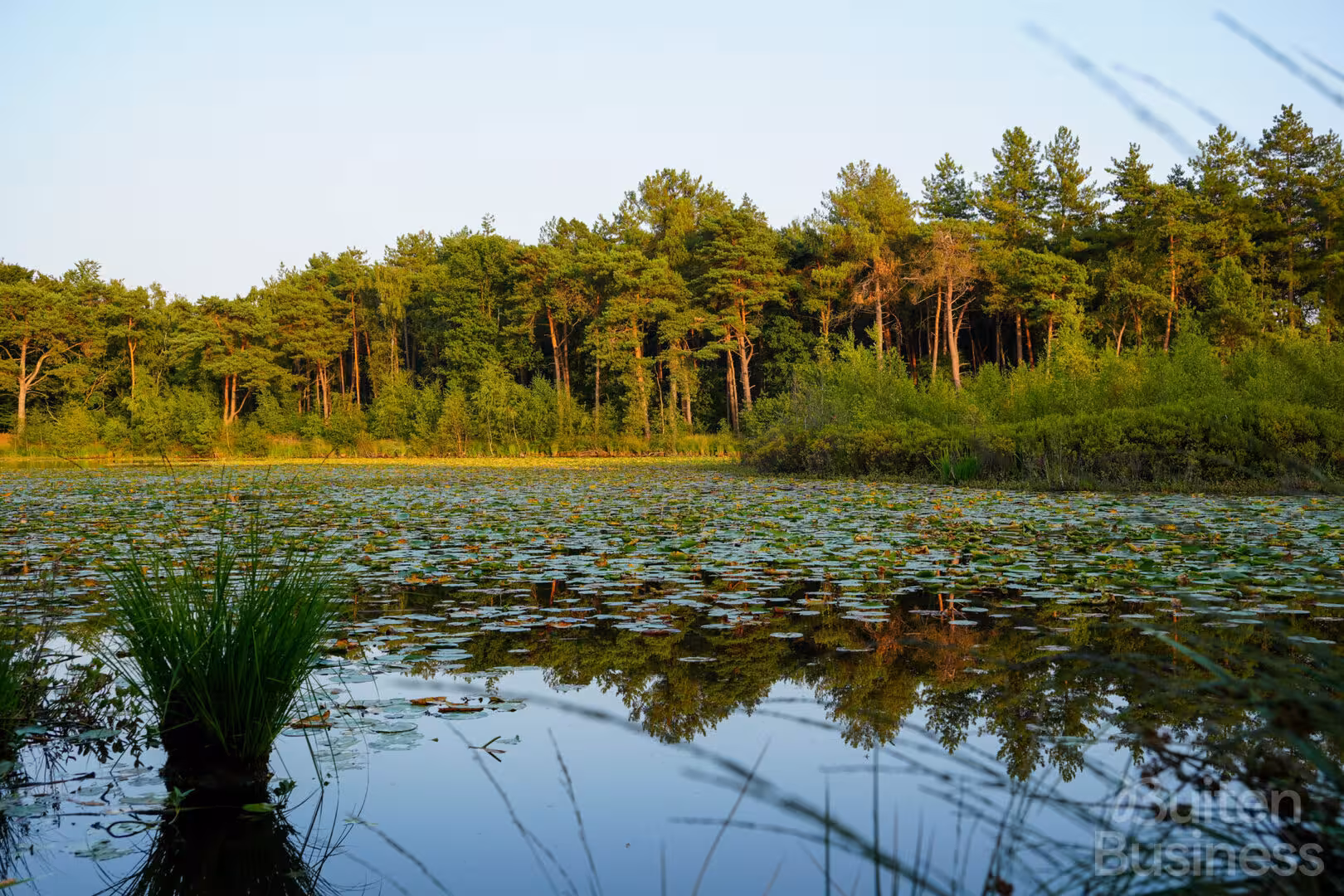 Vergaderen bij Ruimte voor Inzicht in Noord-Brabant via BuitenBusiness