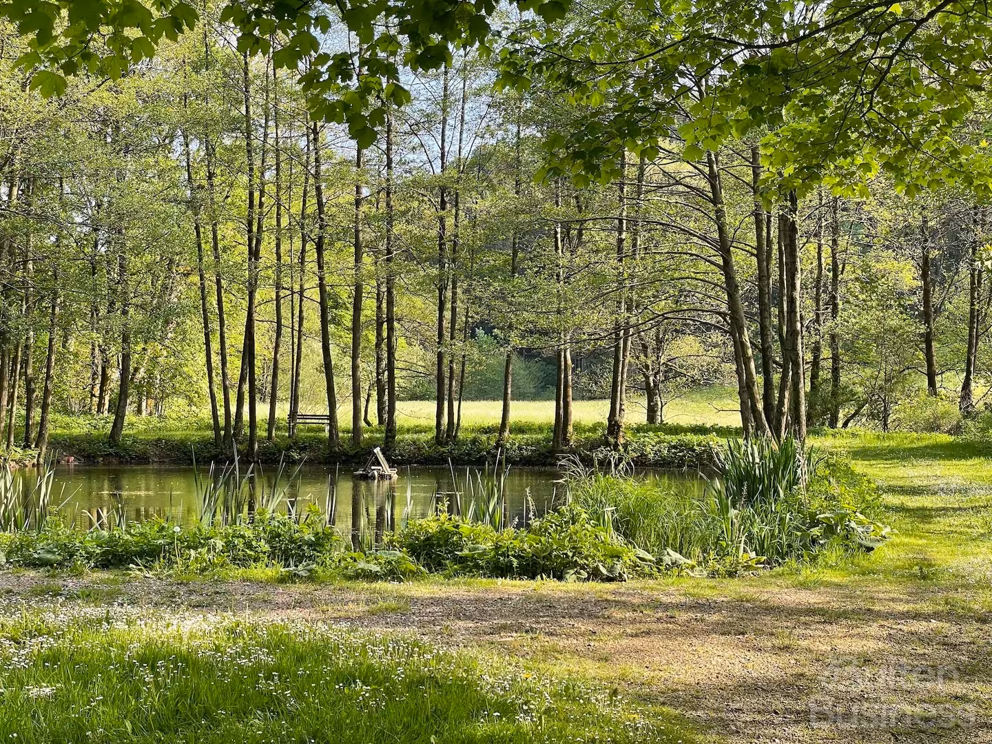 Vergaderen bij Villa die Sonne in Hessen via BuitenBusiness