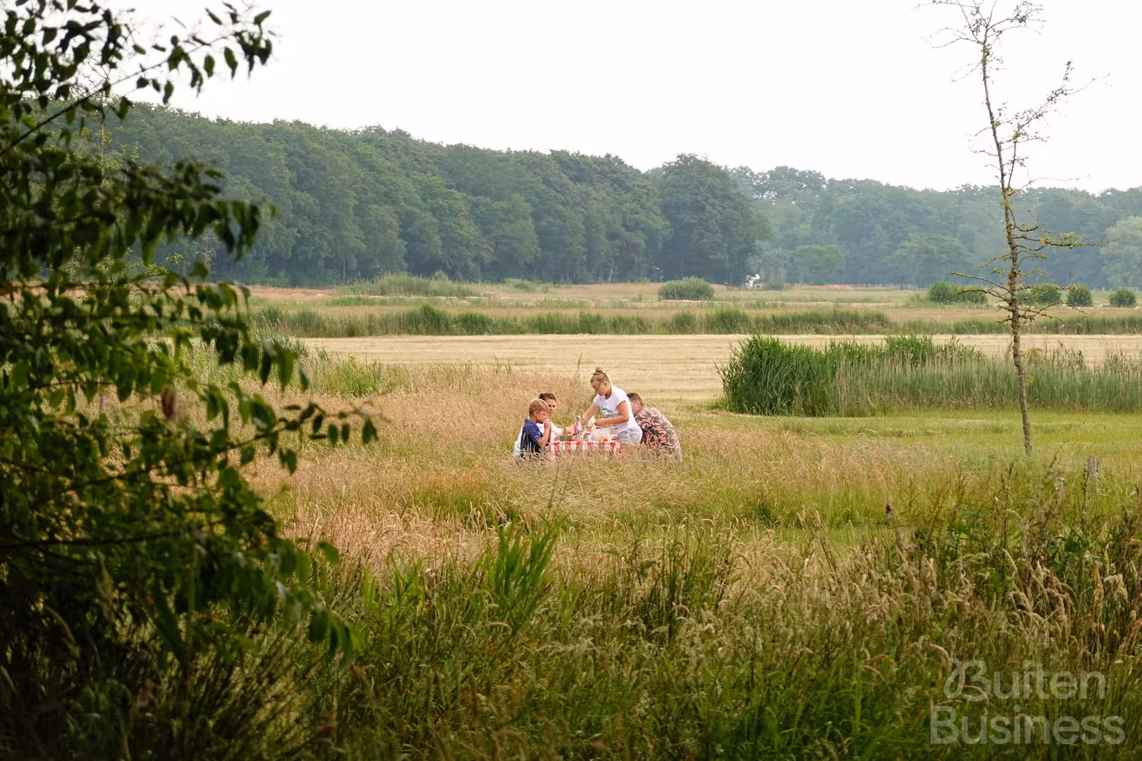 Vergaderen bij De Witakker in Friesland via BuitenBusiness