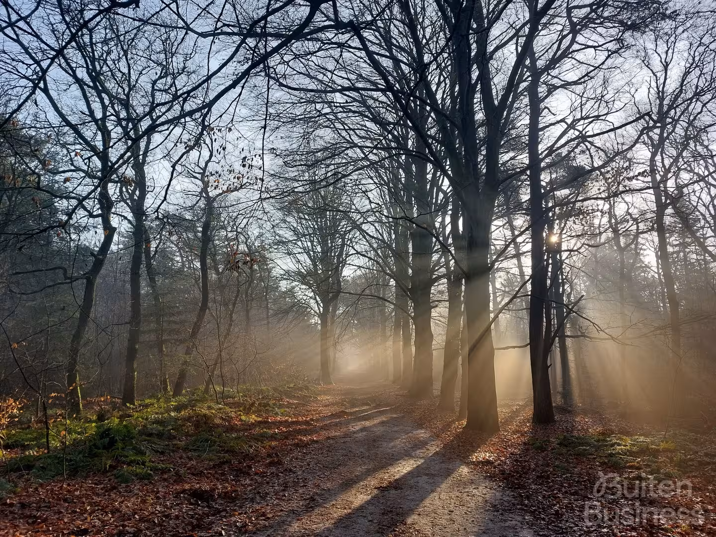 Vergaderen bij De Witakker in Friesland via BuitenBusiness