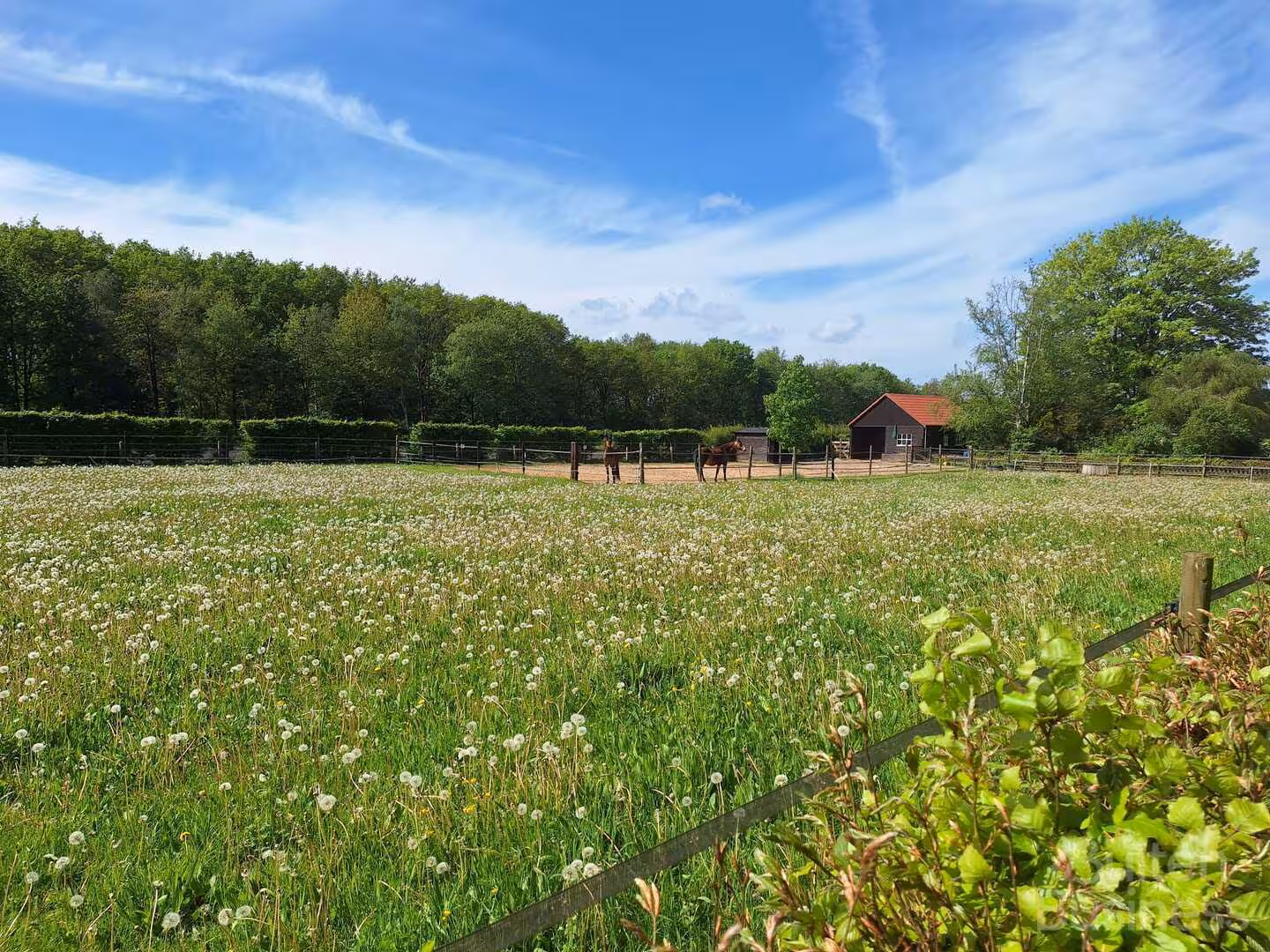 Vergaderen bij Weideblik in Zuidwolde, Drenthe via BuitenBusiness
