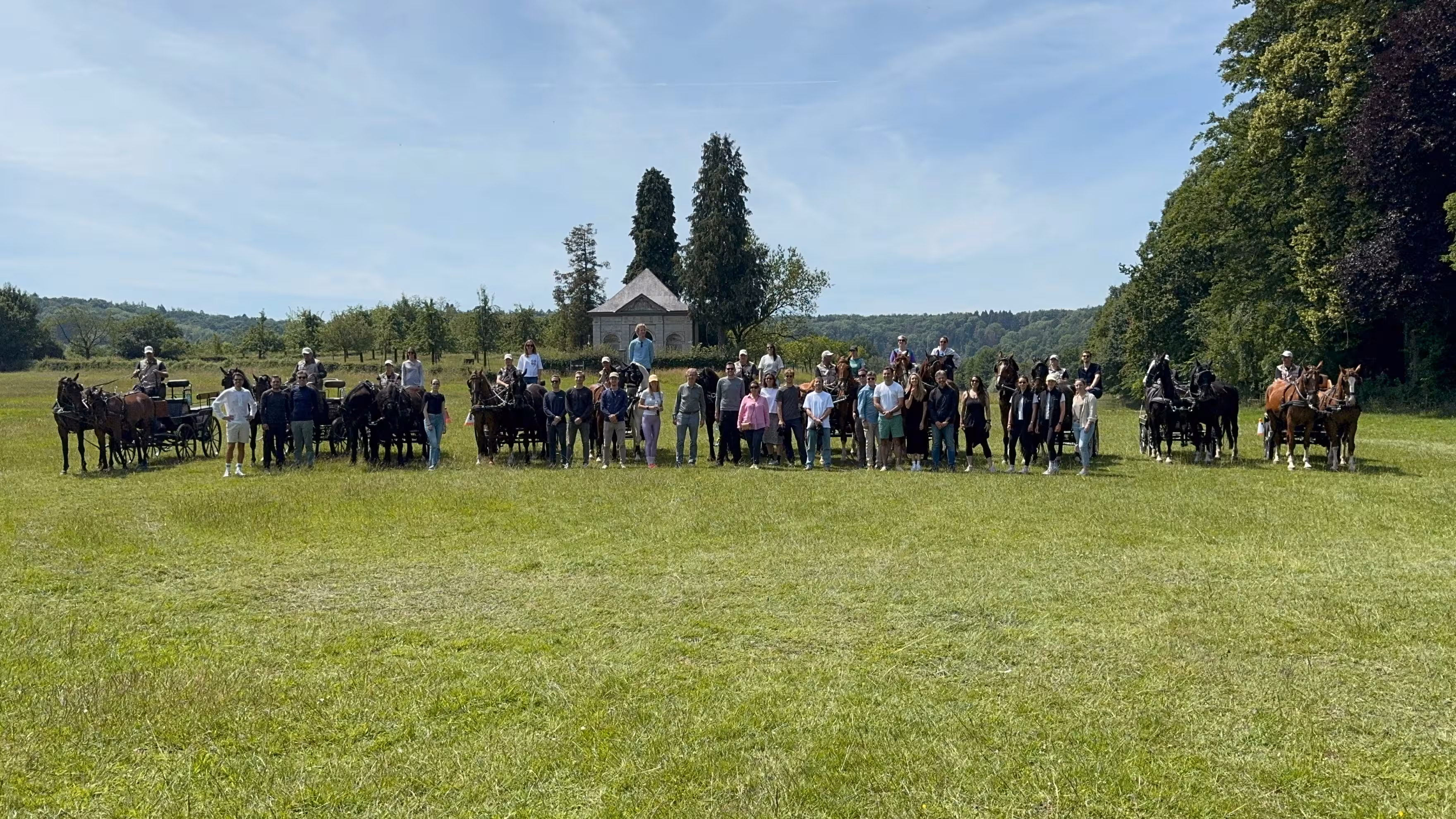 Grasveld met een blauwe lucht en een groep mensen die een workshop Paarden Mennen hebben gevolgd