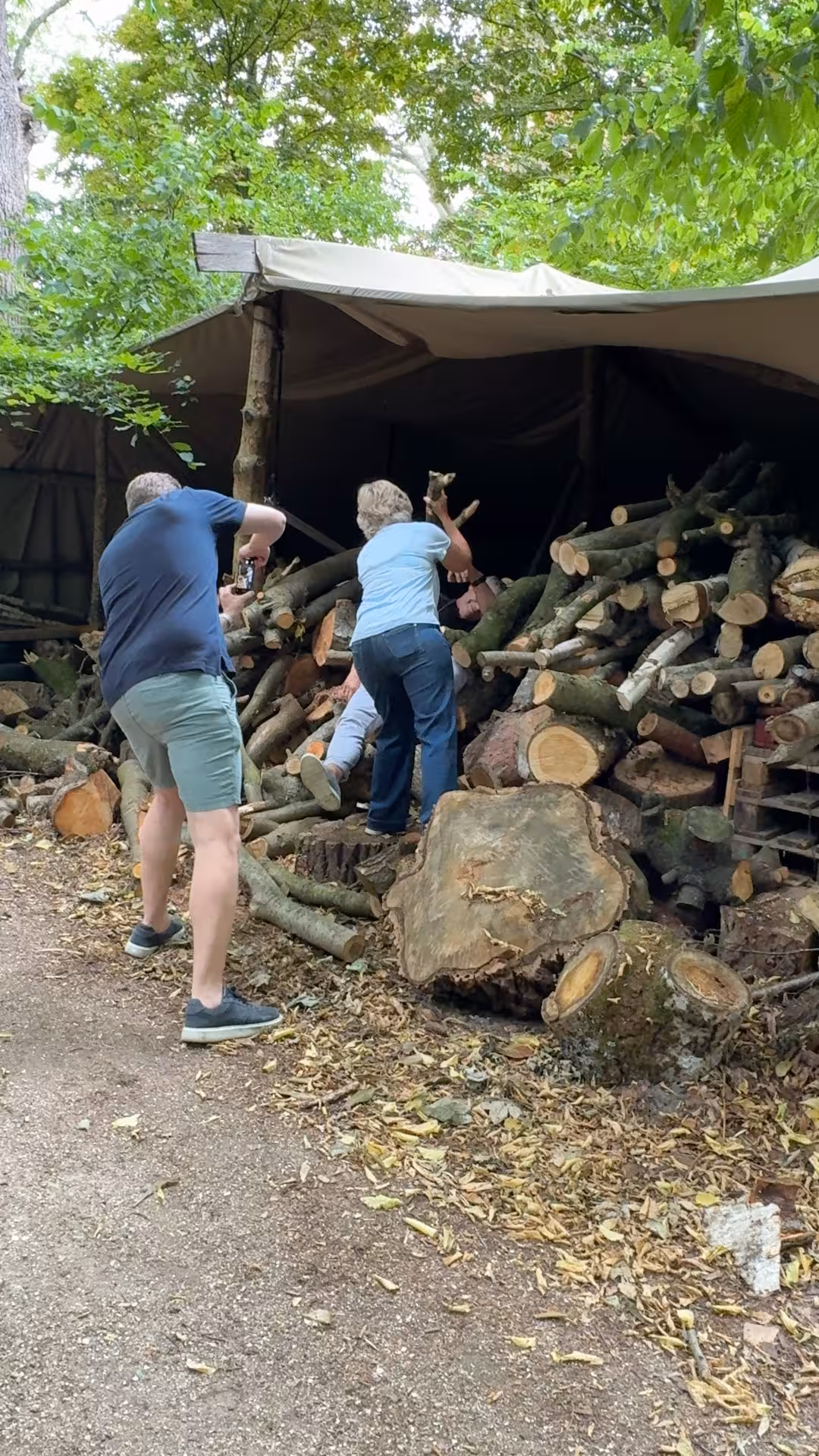 Tussen omgezaagde bomen worden er foto's gemaakt tijdens Het Perfecte Plaatje door BuitenBusiness