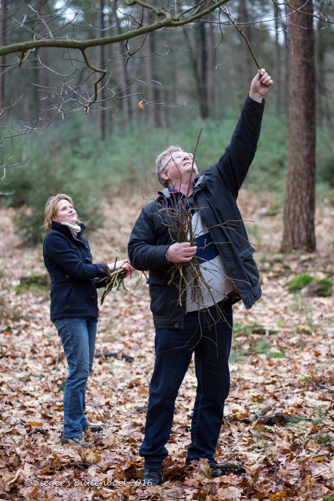 twee mensen halen iets uit de boom in het bos