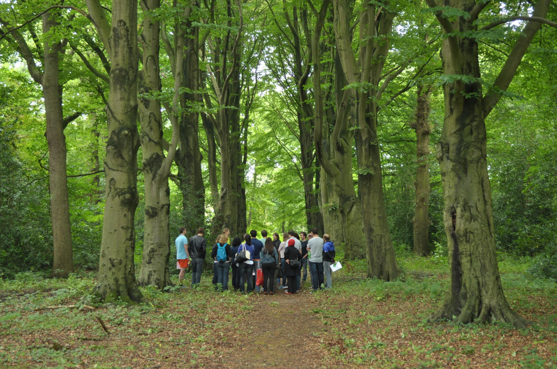 groep mensen in het bos tijdens bushcraft workshop