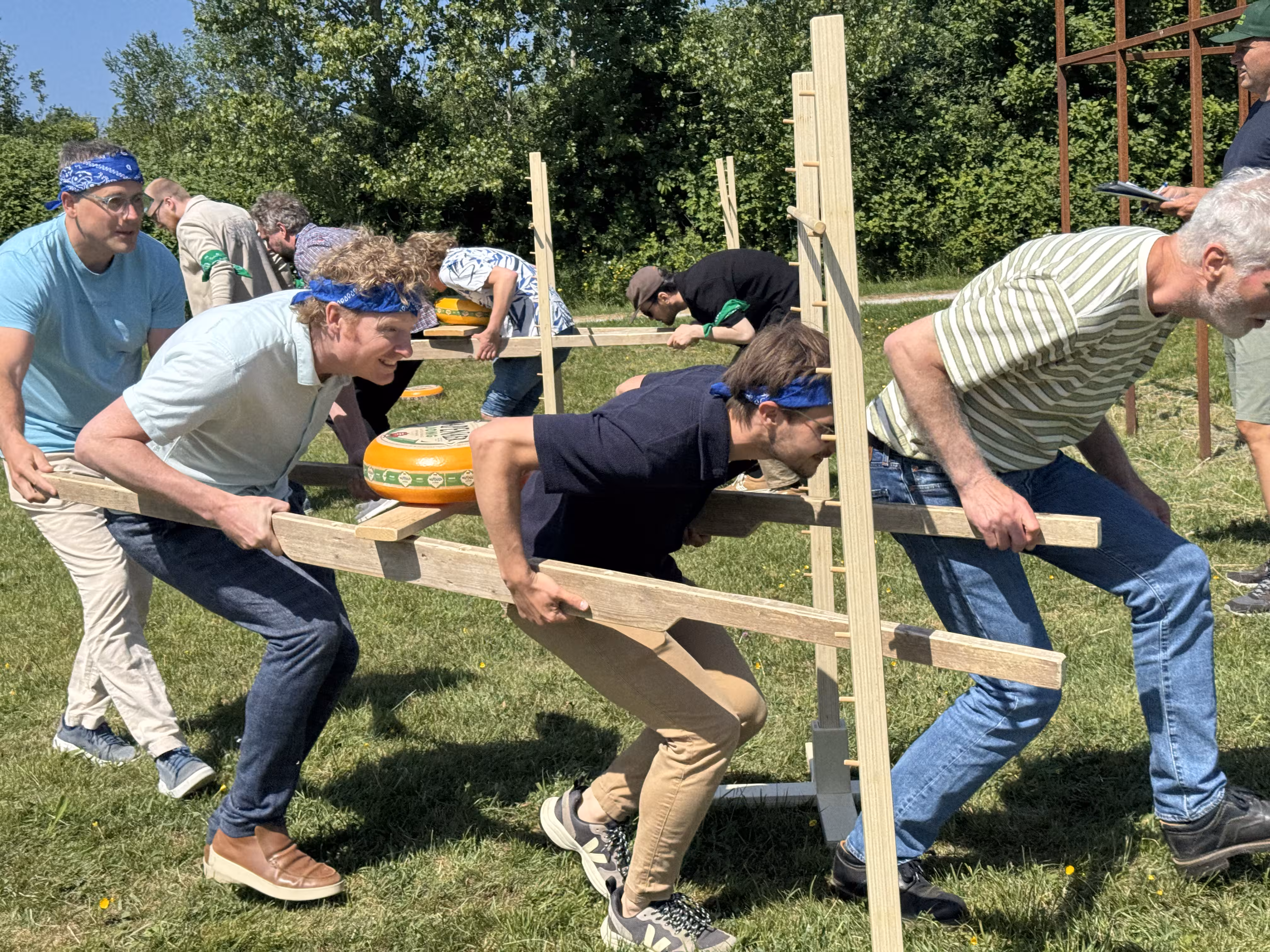 Twee teams lopen onder de houten limbo door en dragen een kaasdrager met kaas.
