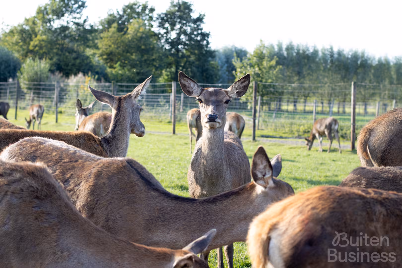 Vergaderen bij HertenHoeve de Lavei in Gelderland via BuitenBusiness