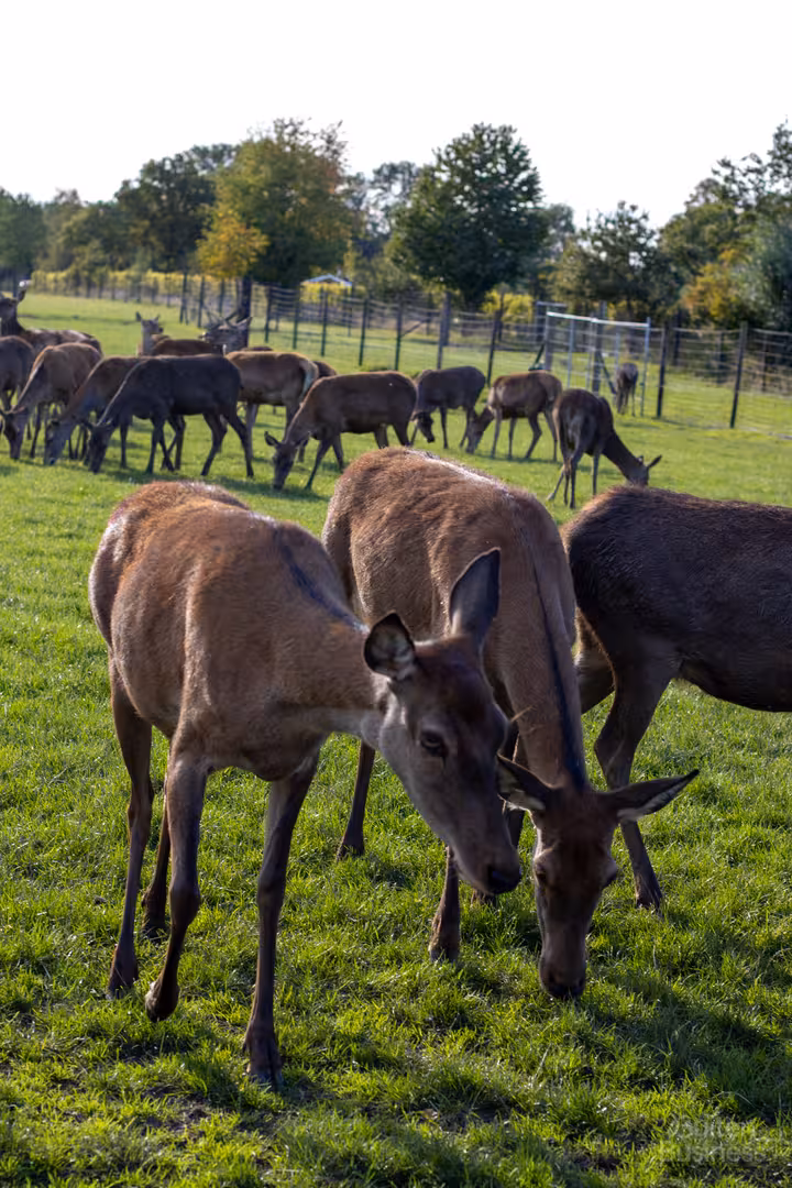 Vergaderen bij HertenHoeve de Lavei in Gelderland via BuitenBusiness