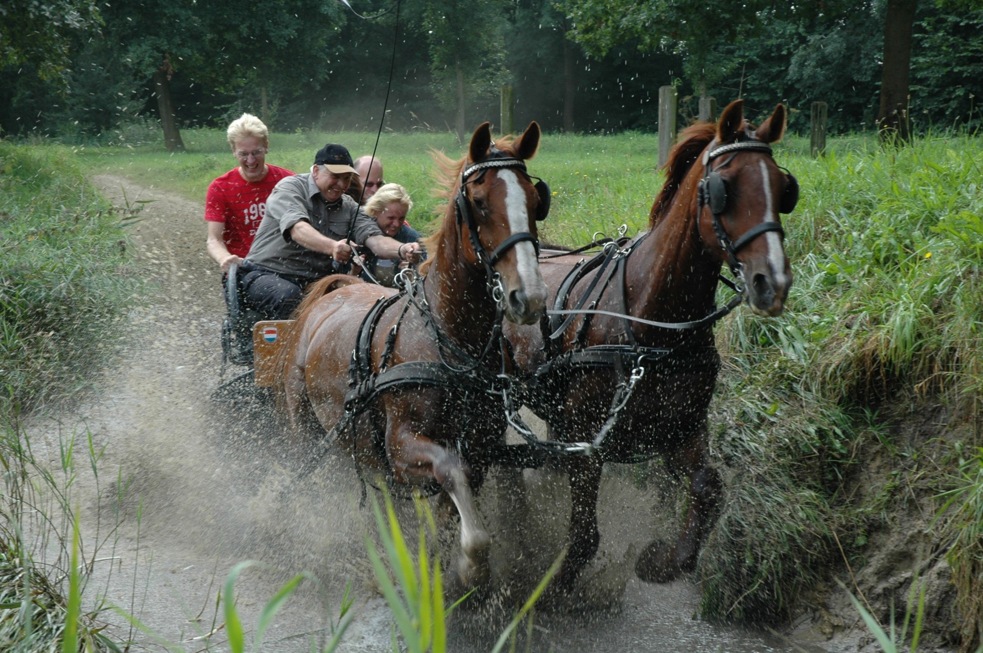 Een origineel teamuitje paardenmennen bij BuitenBusiness