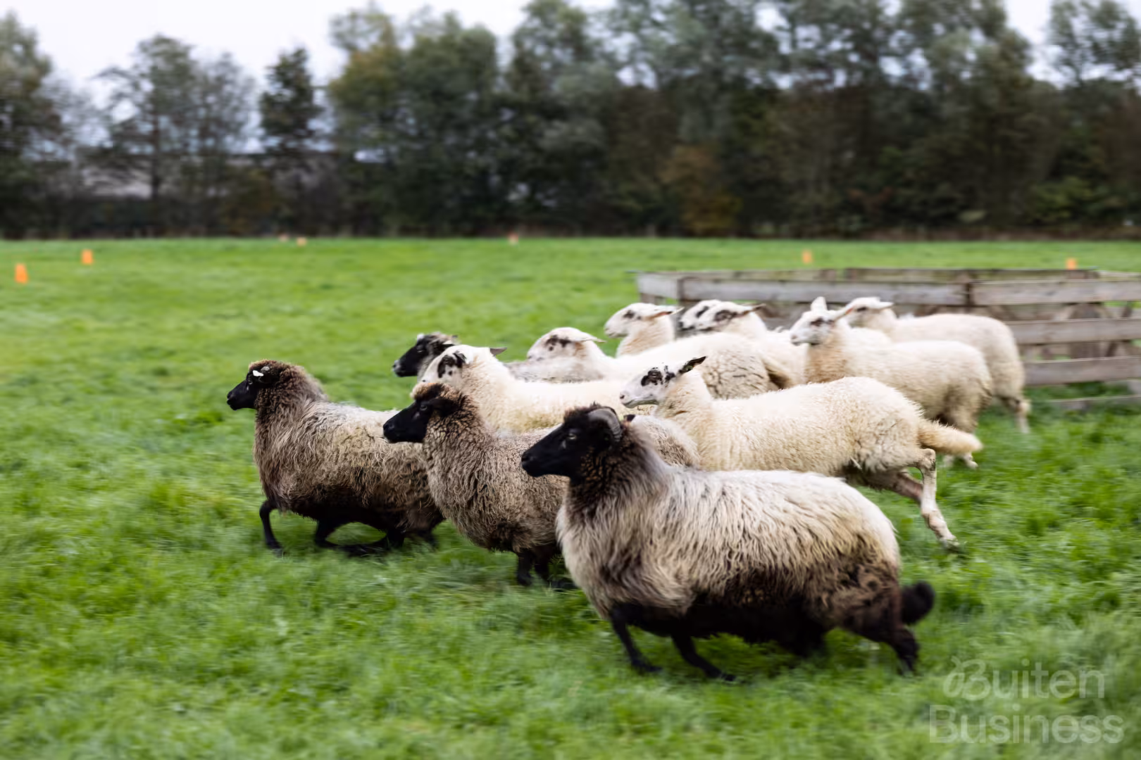 Vergaderen bij De Maathoeve in Overijssel via BuitenBusiness