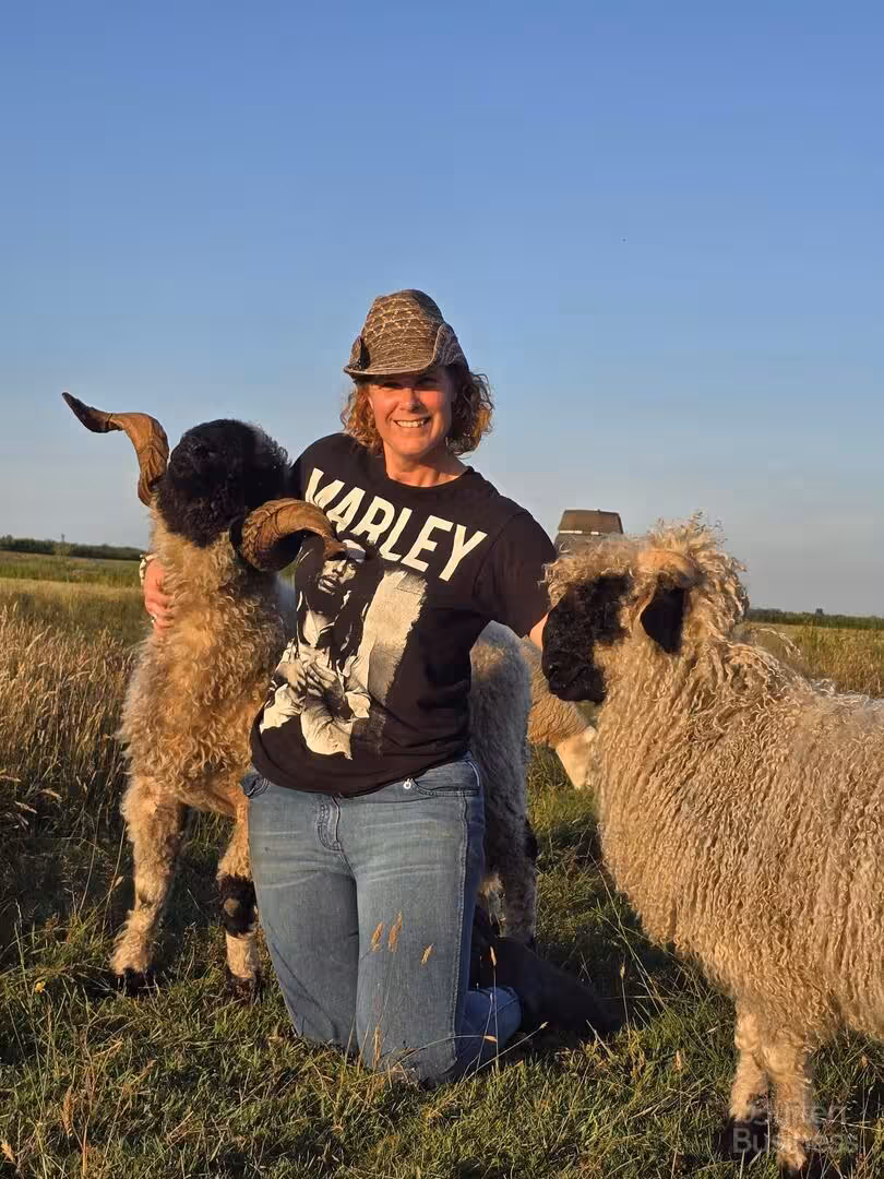 Vergaderen bij BoerderijGeluk in Noord-Holland via BuitenBusiness