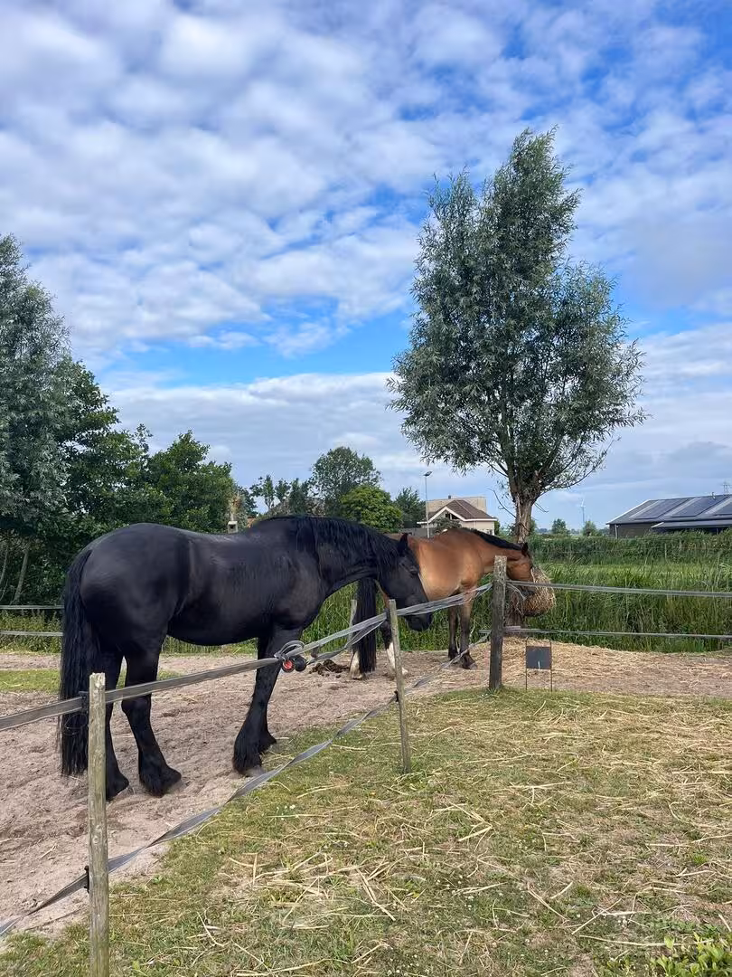 Vergaderen bij BoerderijGeluk in Noord-Holland via BuitenBusiness