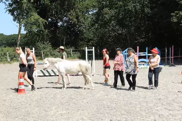 Vergaderen bij Hoeve Heide & Wold in Drenthe via BuitenBusiness