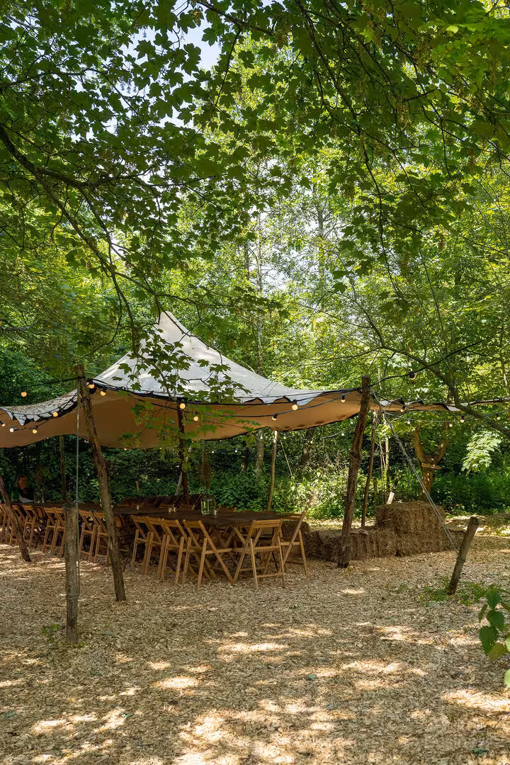 Vergaderen bij Yūgen Forest in Flevoland via BuitenBusiness