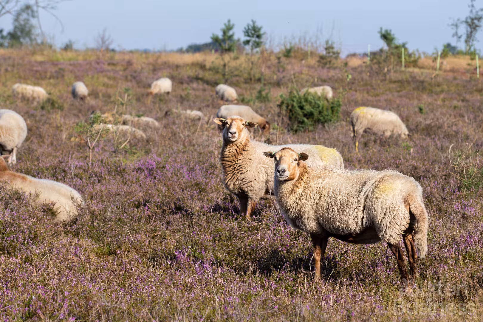 Vergaderen bij De Swarte Ruijter in Overijssel via BuitenBusiness