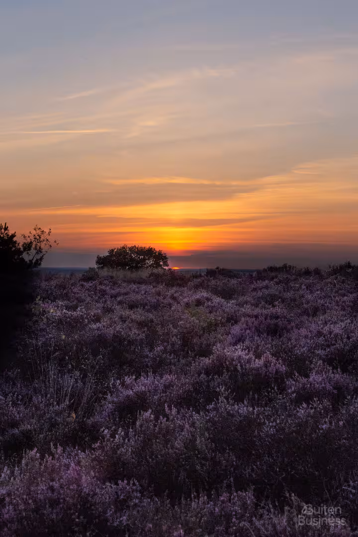 Vergaderen bij De Swarte Ruijter in Overijssel via BuitenBusiness