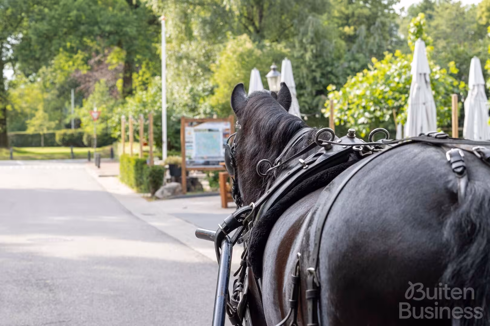 Vergaderen bij Forest Inn meet & sleep in Gelderland via BuitenBusiness
