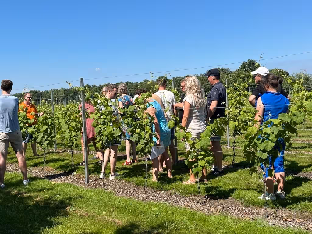 Vergaderen bij Wijngoed Drenthe in Drenthe via BuitenBusiness