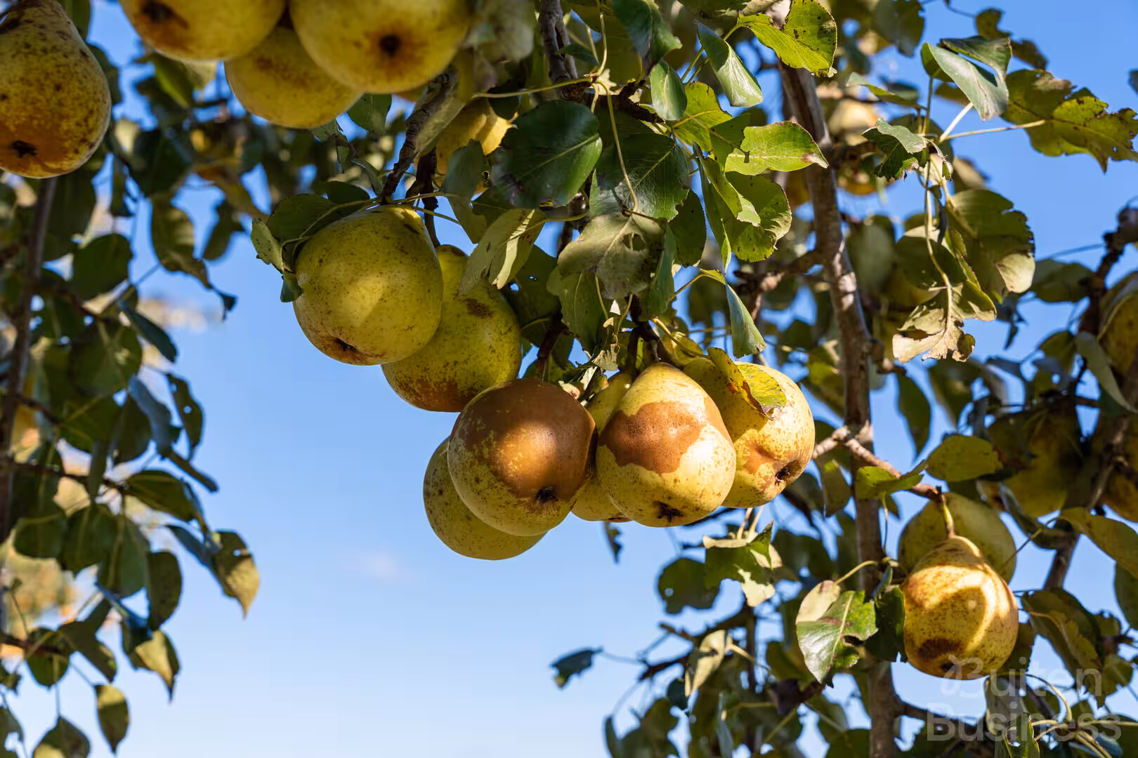 Vergaderen bij Wijngoed Drenthe in Drenthe via BuitenBusiness