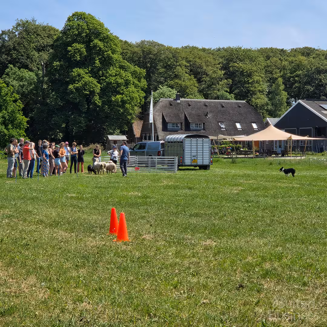 Vergaderen bij Vergaderen bij Biltse Boer in Utrecht via BuitenBusiness
