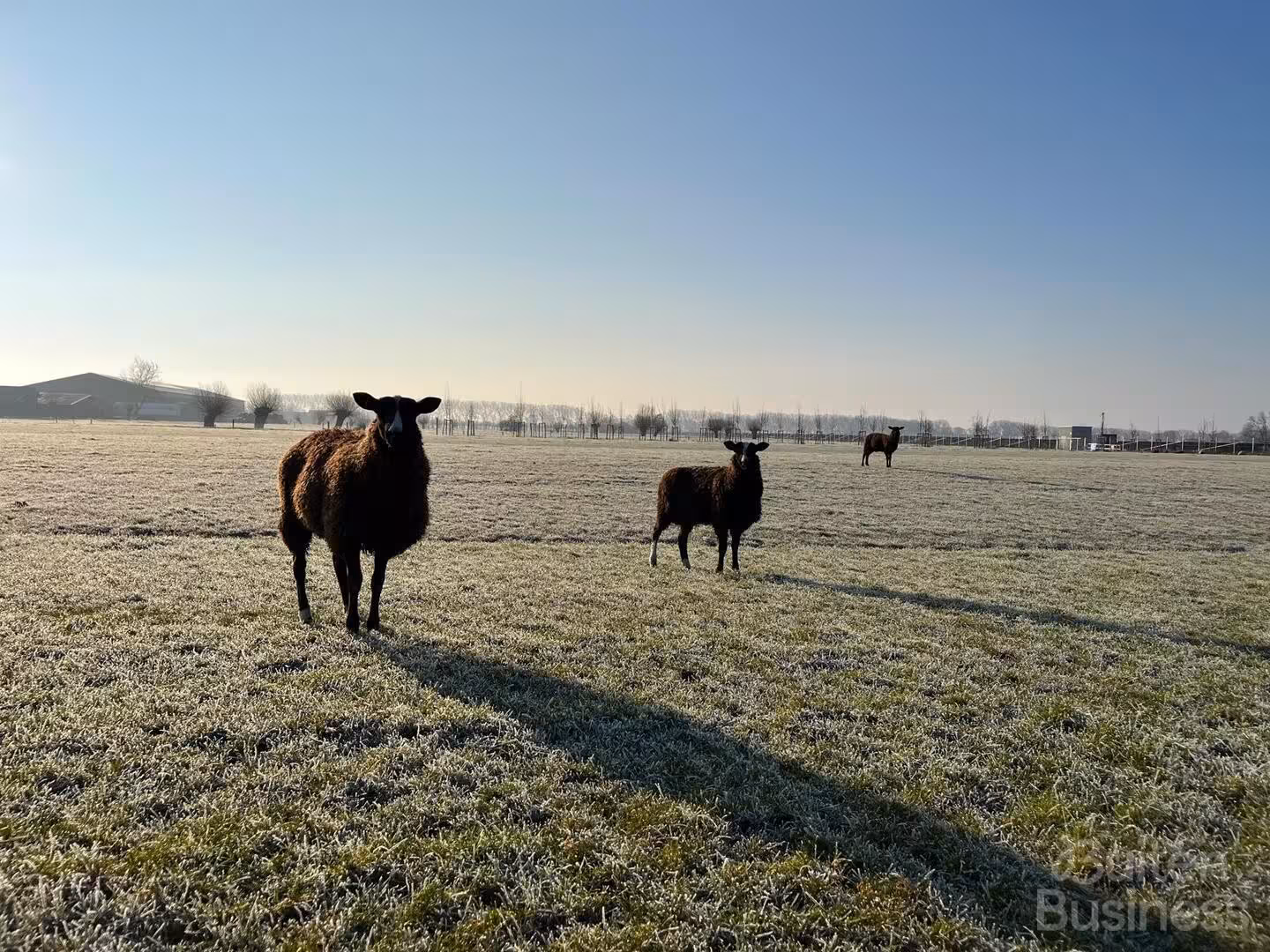 Vergaderen bij De Boerenhut in Utrecht via BuitenBusiness