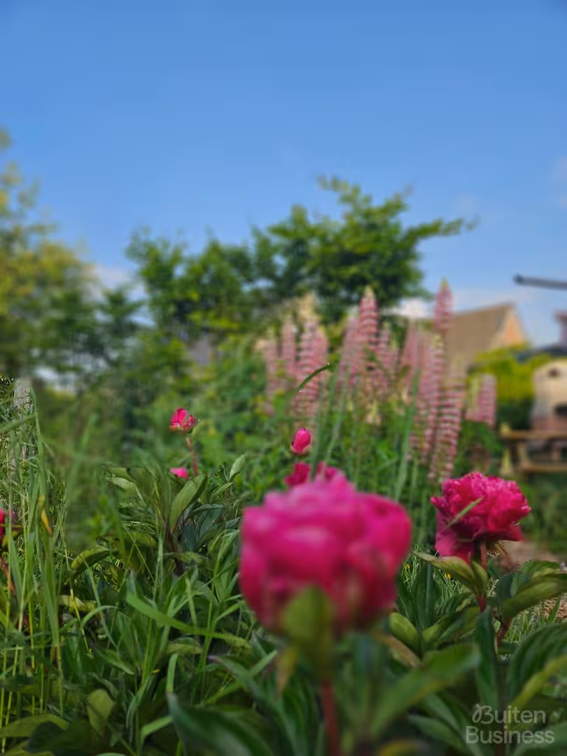 Vergaderen bij Bijlandsche Waard in Gelderland via BuitenBusiness