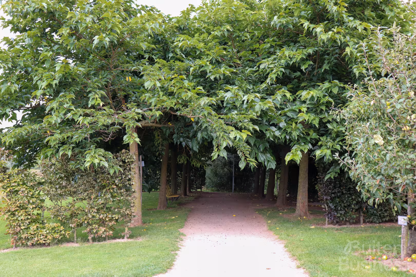 Vergaderen bij Nationaal Fruitpark Hotel & Spa in Gelderland via BuitenBusiness
